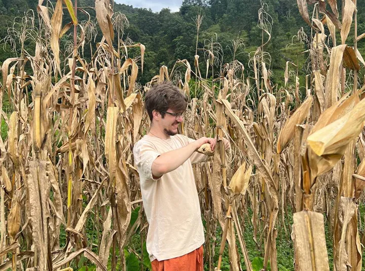 <p>Majsskördning i rurala Nepal kanske blir mitt nästa jobb.</p>
