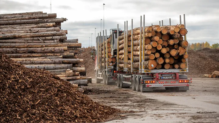 <p>Lastning av timmer för transport.</p>
