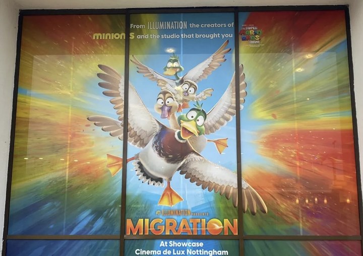 <p>Contra Visions printbara och pvc-fria fönsterfilm Advance.</p>
