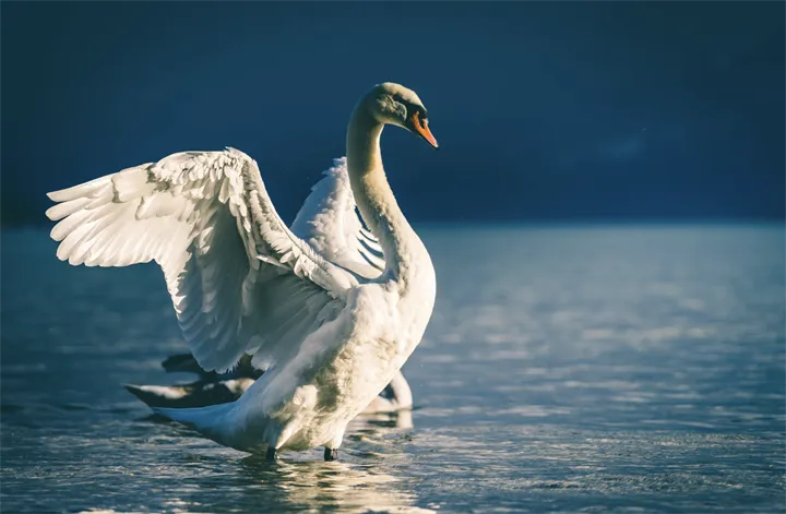 <p>”Visar att Nordisk miljömärknings arbete ger resultat”.</p>
