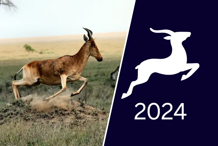 <p>Flera bolag med koppling till förpackningsbranschen är utsedda till Gaseller av DI.</p>
