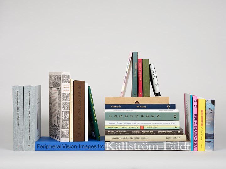 <p>Årets 25 utvalda böcker i Svensk Bokkonst.</p>
