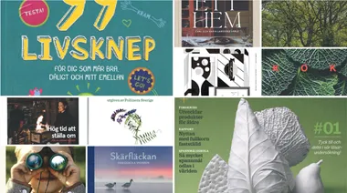 <p>Några av alla bidragen som kan vinna Publishingpriset i år.</p>
