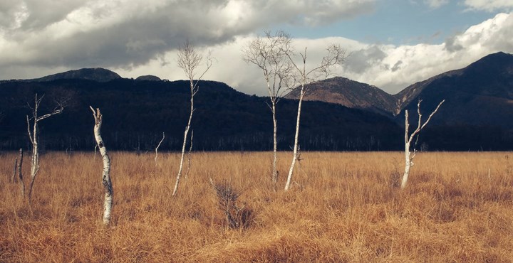 <p>Gina Tricot är det senaste sorgsna exemplet på att det är enkelt att lova mycket men svårare att hålla vad man lovar när det kommer till miljöarbete.</p>
