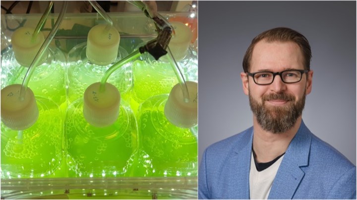 <p>Doktoranden Martin Plöhn forskar på ett nytt sätt att framställa bioplast – med hjälp av mikroalger.</p>
