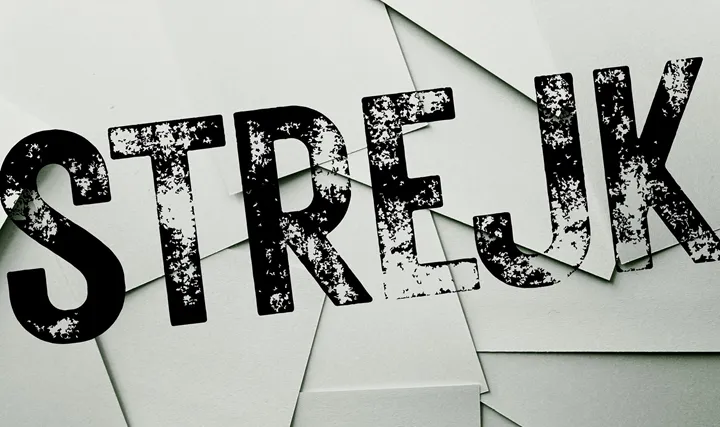 <p>Finska transportstrejken ställer till det för pappersindustrin.</p>
