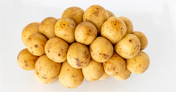 <p>Forskarna har kommit på att potatisstärkelsen inte behövs i pappersprocessen.</p>
