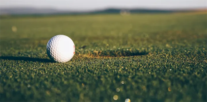 <p>De har kommit på vart det finns många golfbollar, och nu säljer de som smör.</p>
