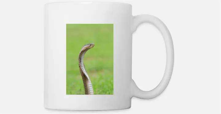 <p>Förmodligen får vi inte se den här typen av produkter från Skansen framöver.</p>
