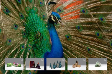 <p>Finalisterna klara för Pida-final.</p>
