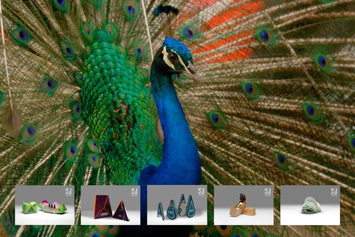 <p>Finalisterna klara för Pida-final.</p>
