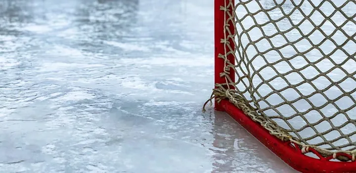 <p>En fjäder i hatten för det nystartade bolaget.</p>
