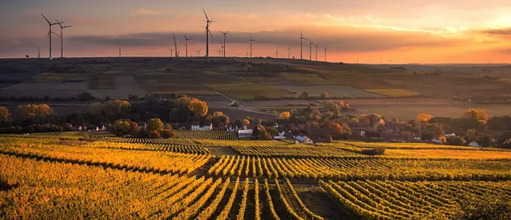 <p>Allt mer populärt att ta hjälp med sitt miljöarbete.</p>
