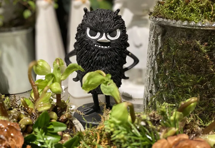 <p>Stinky står i en blomsterbutik redo att köpas.</p>
