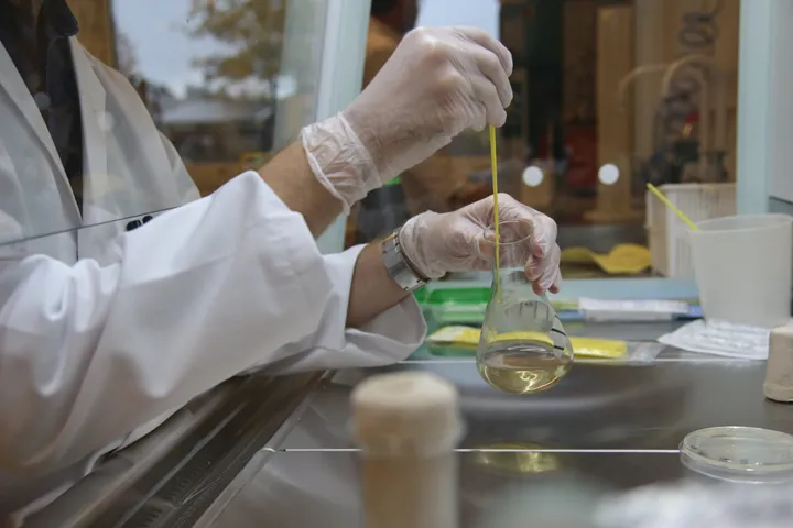 <p>Bild från Bioextrax</p>
