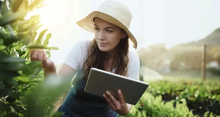 <p>Företaget Norbite har kommit på ett sätt att använda insekter för att förvandla plastavfall till hållbara varor på industriell skala.</p>
