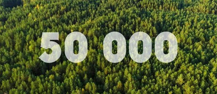 <p>FSC har nu 50.000 användare globalt.</p>
