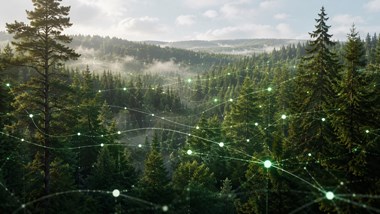 skog API_AI_1800