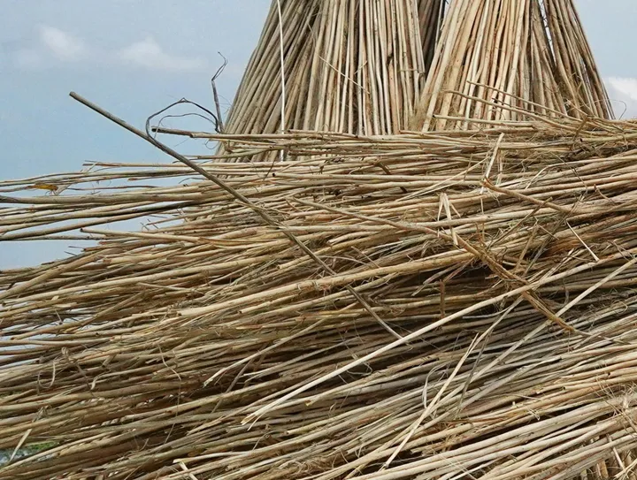 jute_unsplash