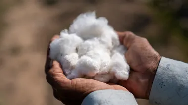 Better cotton image-2-1024x576